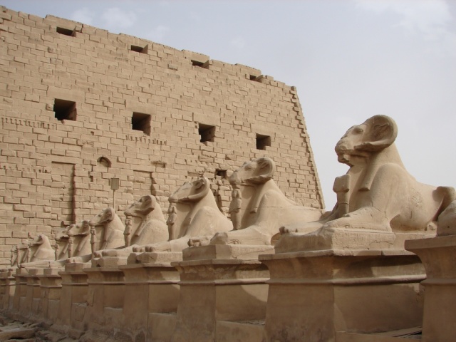 2008/03(March)/AroundTheWorld/Egypt/Karnak/640x480_Ram's head entry to Karnak.jpg